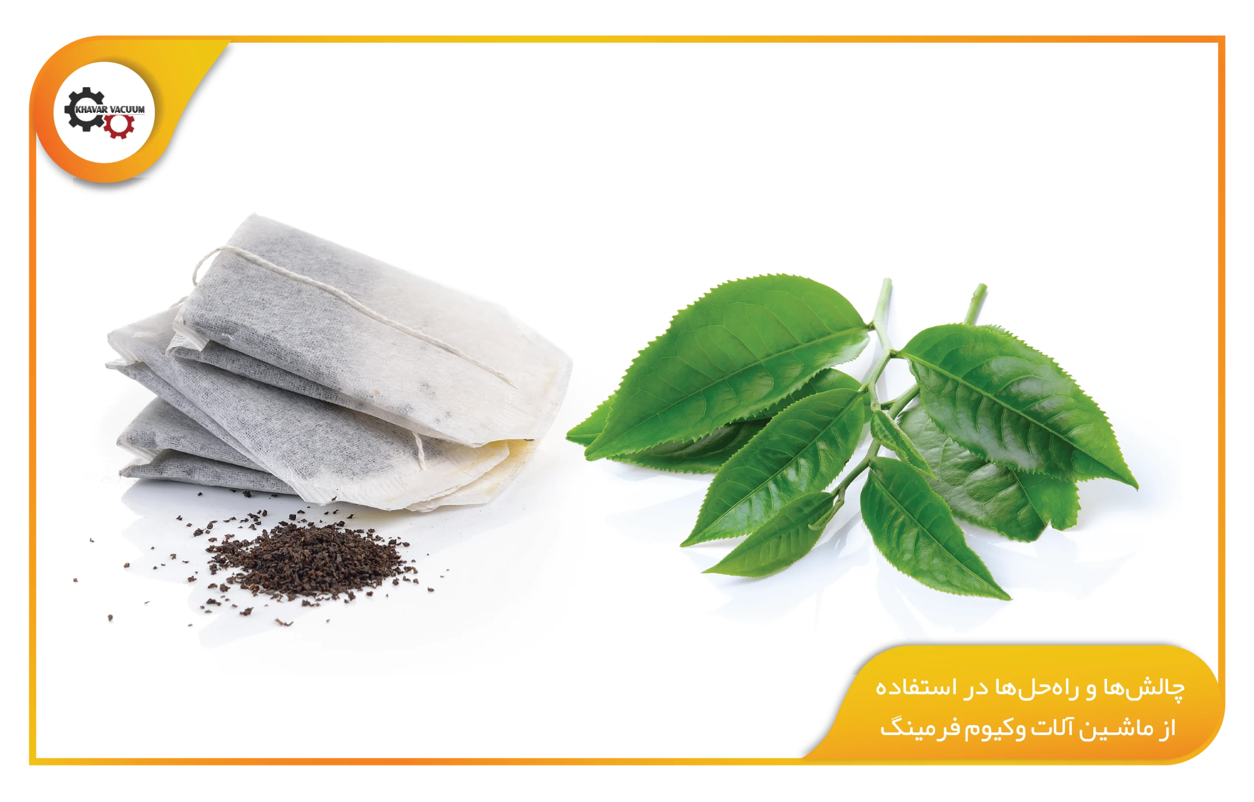 بسته بندی وکیوم در صنعت چای چه مزیتی دارد؟ 3 تأثیر بسته بندی وکیوم بر کیفیت نهایی چای